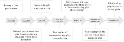 Immunotherapy Combined With Chemotherapy for Postoperative Recurrent Penile Squamous Cell Carcinoma: A Case Report and Literature Review